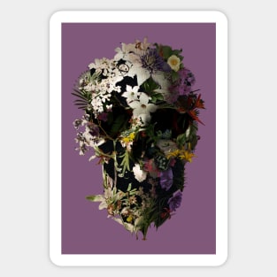 Skull Sticker